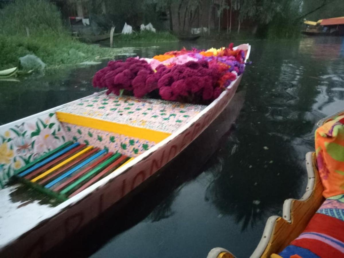 Umbrella Group Of House Boat Hotel Srinagar  Exterior photo